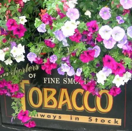 O'neills Victorian Pub & Townhouse 4* دبلن